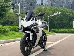 Kayo 250RR Thornbird - ფოტო 1
