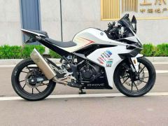 Kayo 250RR Thornbird - ფოტო 2