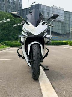 Kayo 250RR Thornbird - ფოტო 3