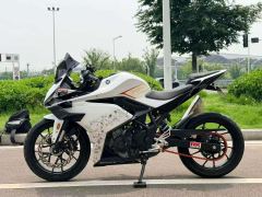 Kayo 250RR Thornbird - ფოტო 5