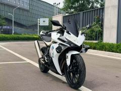 Kayo 250RR Thornbird - ფოტო 6