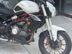 Benelli TNT 300 / BN 302S - ფოტო 4