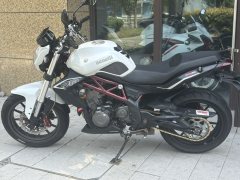 Benelli TNT 300 / BN 302S - ფოტო 6