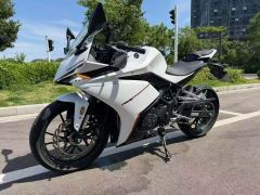 Kayo 250RR Thornbird - ფოტო 2