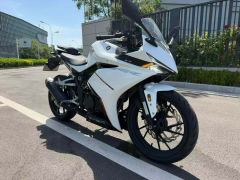 Kayo 250RR Thornbird - ფოტო 4