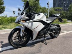 Kayo 250RR Thornbird - ფოტო 3