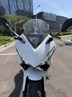 Kayo 250RR Thornbird - ფოტო 4