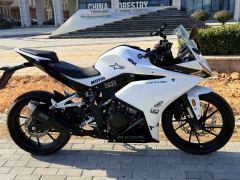 Kayo 250RR Thornbird - ფოტო 1