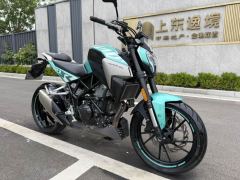 Kayo Cobra 321R 320 cc - ფოტო 3