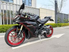 Kayo 321RR 320 cc - фото 6
