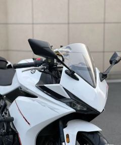 Kayo 250RR Thornbird - ფოტო 1