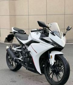 Kayo 250RR Thornbird - ფოტო 2
