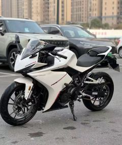 Kayo 250RR Thornbird - ფოტო 3