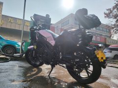 Benelli Young Lion Leoncino 150 - ფოტო 3