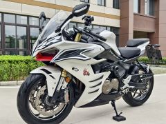 QJMOTOR Roewe i5 550 / Sai 550 *(Context-dependent, usually referring to the motorcycle "Sai 550" or Roewe car v - photo 1