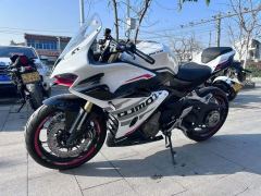 QJMOTOR Sai 450 - photo 1