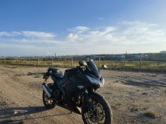 Hercules Little Tyrant 200 cc - ფოტო 2