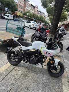 CFMOTO Papio XO-1 125 cc - photo 5
