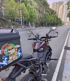 Haojue DR300 - фото 3