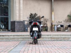 Zongshengapuliya SR Max 250 - ფოტო 6