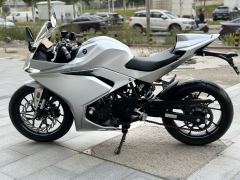 Kayo 250RR Thornbird - ფოტო 2
