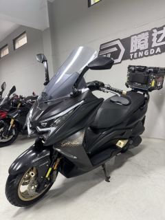 Ariic 318T 250 cc - ფოტო 8