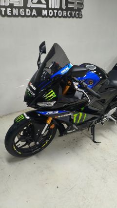 Yamaha YZF-R3 320 cc - ფოტო 2
