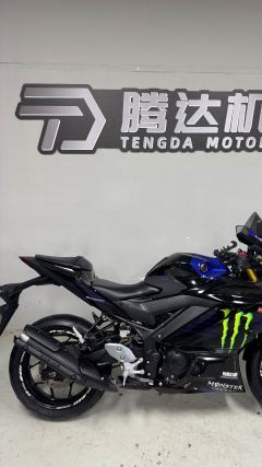 Yamaha YZF-R3 320 cc - ფოტო 3
