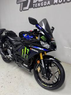 Yamaha YZF-R3 320 cc - ფოტო 9