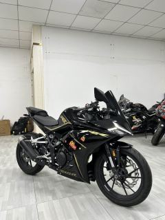 Kayo 250RR Thornbird - photo 1