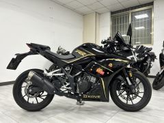 Kayo 250RR Thornbird - photo 2