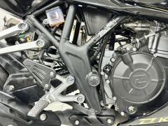Kayo 250RR Thornbird - photo 3