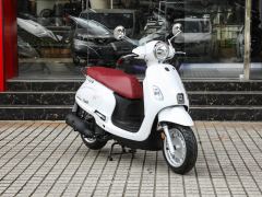 Xiaxinsanyang Fiddle 150 cc - фото 12