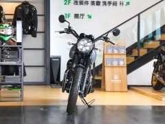 Kawasaki W800 - ფოტო 11
