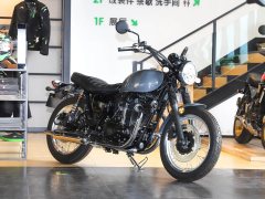 Kawasaki W800 - ფოტო 12
