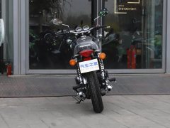 Kawasaki W800 - ფოტო 6