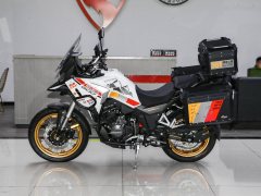 Cyclone RX600 560 cc - ფოტო 4