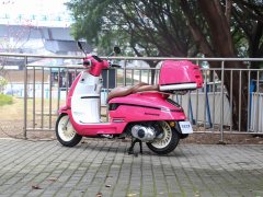Nanfnag 250 cc - ფოტო 4