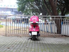 Nanfnag 250 cc - ფოტო 6