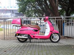 Nanfnag 250 cc - ფოტო 8