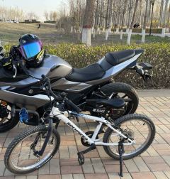 Haojue Suzuki GSX250R - ფოტო 1