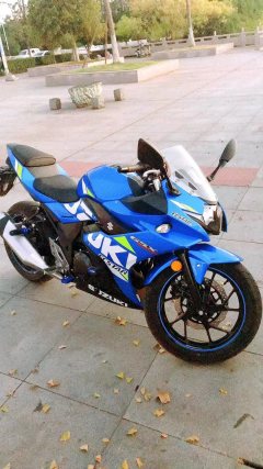 Haojue Suzuki GSX250R - photo 1