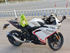 Voge 300RR - ფოტო 3