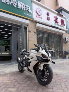 QJMOTOR Sai 600 680 cc - ფოტო 6