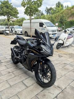 Kayo 250RR Thornbird - фото 2
