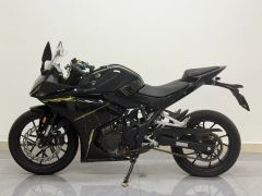 Kayo 250RR Thornbird - photo 1