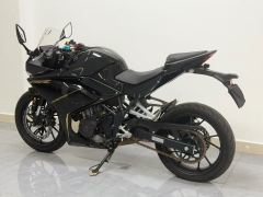Kayo 250RR Thornbird - photo 2