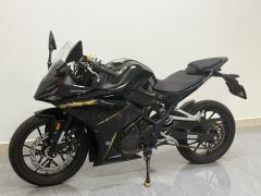 Kayo 250RR Thornbird - photo 3