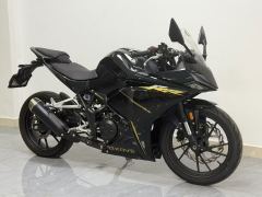 Kayo 250RR Thornbird - photo 4
