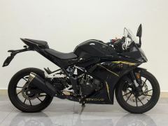 Kayo 250RR Thornbird - photo 5